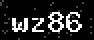 verify code
