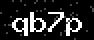 verify code