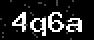 verify code