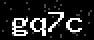verify code